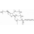 anti-HYAL1 antibody (Hyaluronidase-1) (N-Term)