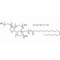 anti-HYAL1 antibody (Hyaluronidase-1) (N-Term)