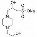 anti-HYAL1 antibody (Hyaluronidase-1) (N-Term)
