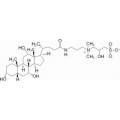 anti-HYAL1 antibody (Hyaluronidase-1) (N-Term)