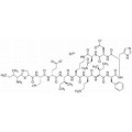anti-HYAL1 antibody (Hyaluronidase-1) (N-Term)
