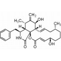 anti-HYAL1 antibody (Hyaluronidase-1) (N-Term)