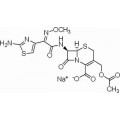 anti-HYAL1 antibody (Hyaluronidase-1) (N-Term)