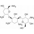 anti-HYAL1 antibody (Hyaluronidase-1) (N-Term)