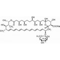 anti-HYAL1 antibody (Hyaluronidase-1) (N-Term)