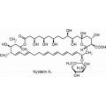 anti-HYAL1 antibody (Hyaluronidase-1) (N-Term)