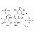 anti-HYAL1 antibody (Hyaluronidase-1) (N-Term)