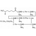 anti-HYAL1 antibody (Hyaluronidase-1) (N-Term)