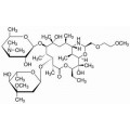 anti-HYAL1 antibody (Hyaluronidase-1) (N-Term)