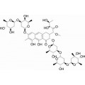 anti-HYAL1 antibody (Hyaluronidase-1) (N-Term)