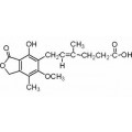 anti-HYAL1 antibody (Hyaluronidase-1) (N-Term)