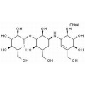 anti-HYAL1 antibody (Hyaluronidase-1) (N-Term)