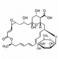 anti-HYAL1 antibody (Hyaluronidase-1) (N-Term)