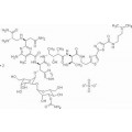 anti-HYAL1 antibody (Hyaluronidase-1) (N-Term)