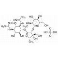anti-HYAL1 antibody (Hyaluronidase-1) (N-Term)