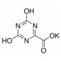 anti-HYAL1 antibody (Hyaluronidase-1) (N-Term)