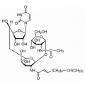 anti-HYAL1 antibody (Hyaluronidase-1) (N-Term)