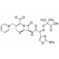 anti-HYAL1 antibody (Hyaluronidase-1) (N-Term)