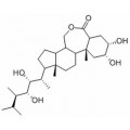 anti-HYAL1 antibody (Hyaluronidase-1) (N-Term)