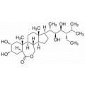 anti-HYAL1 antibody (Hyaluronidase-1) (N-Term)