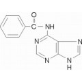 anti-HYAL1 antibody (Hyaluronidase-1) (N-Term)