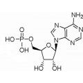 anti-HYAL1 antibody (Hyaluronidase-1) (N-Term)