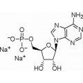 anti-HYAL1 antibody (Hyaluronidase-1) (N-Term)