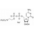 anti-HYAL1 antibody (Hyaluronidase-1) (N-Term)