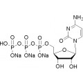 anti-HYAL1 antibody (Hyaluronidase-1) (N-Term)