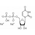 anti-HYAL1 antibody (Hyaluronidase-1) (N-Term)
