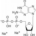 anti-HYAL1 antibody (Hyaluronidase-1) (N-Term)
