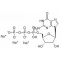 anti-HYAL1 antibody (Hyaluronidase-1) (N-Term)