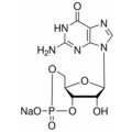 anti-HYAL1 antibody (Hyaluronidase-1) (N-Term)