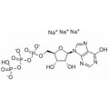 anti-HYAL1 antibody (Hyaluronidase-1) (N-Term)