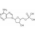 anti-HYAL1 antibody (Hyaluronidase-1) (N-Term)