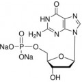 anti-HYAL1 antibody (Hyaluronidase-1) (N-Term)