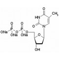 anti-HYAL1 antibody (Hyaluronidase-1) (N-Term)