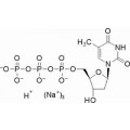 anti-HYAL1 antibody (Hyaluronidase-1) (N-Term)