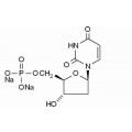 anti-HYAL1 antibody (Hyaluronidase-1) (N-Term)