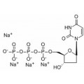 anti-HYAL1 antibody (Hyaluronidase-1) (N-Term)