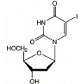 anti-HYAL1 antibody (Hyaluronidase-1) (N-Term)