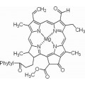 anti-HYAL1 antibody (Hyaluronidase-1) (N-Term)