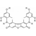 anti-HYAL1 antibody (Hyaluronidase-1) (N-Term)