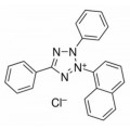 anti-HYAL1 antibody (Hyaluronidase-1) (N-Term)