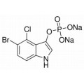anti-HYAL1 antibody (Hyaluronidase-1) (N-Term)