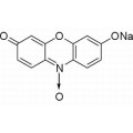 anti-HYAL1 antibody (Hyaluronidase-1) (N-Term)