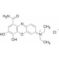 anti-HYAL1 antibody (Hyaluronidase-1) (N-Term)