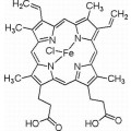 anti-HYAL1 antibody (Hyaluronidase-1) (N-Term)