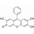 anti-HYAL1 antibody (Hyaluronidase-1) (N-Term)