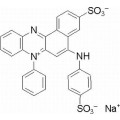 anti-HYAL1 antibody (Hyaluronidase-1) (N-Term)